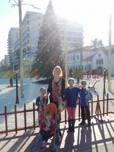 Larnacassa oli vielä joulukuusi pystyssä vaikka ulkona oli mukavat 15 astetta lämmintä ja aurinko paistoi.